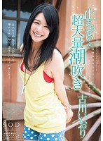 止まらない…超大量潮吹き 古川いおり